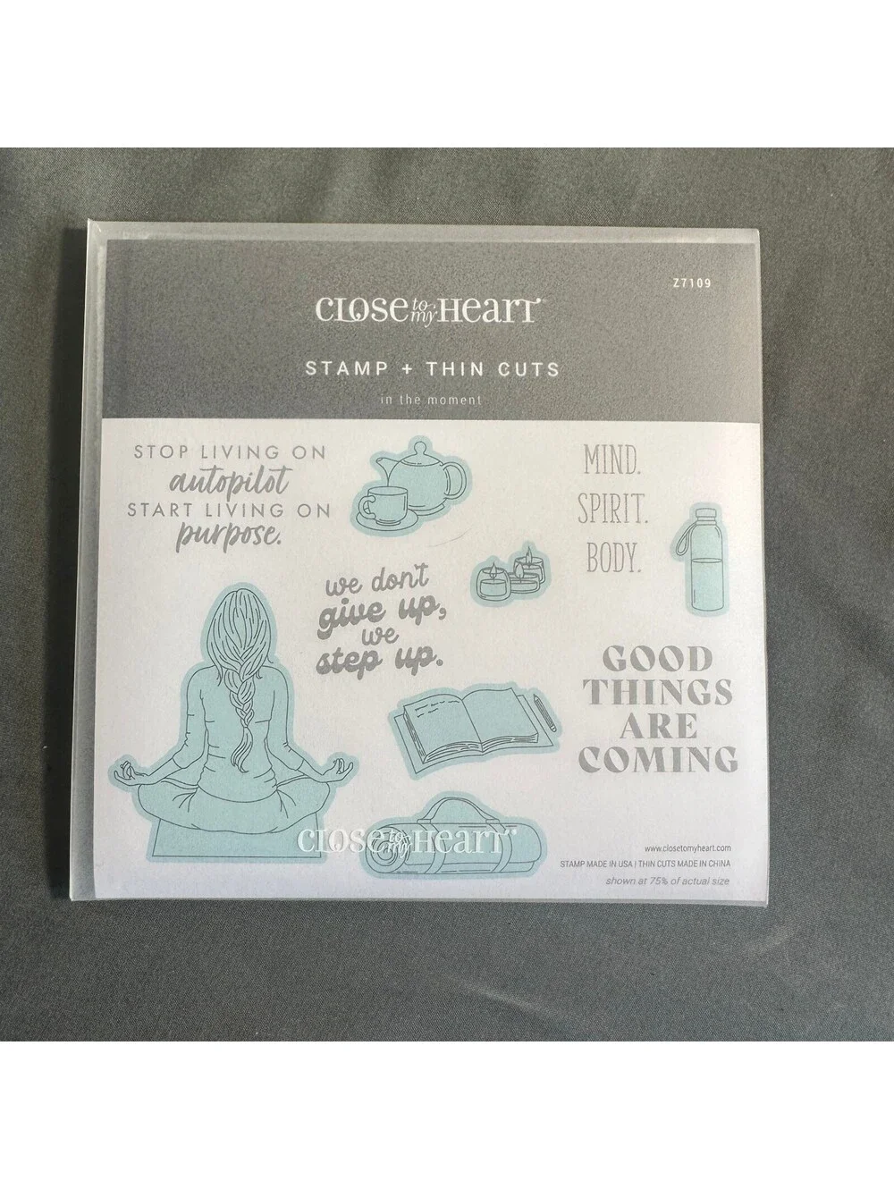 Close To My Heart Z7109 In The Moment Acrylic Stamp and Thin Cut Set